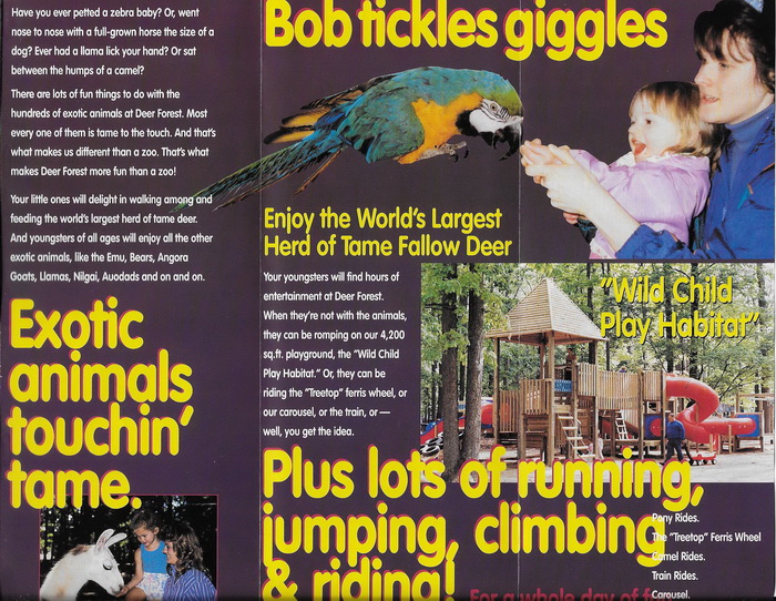 Deer Forest - Brochure (newer photo)